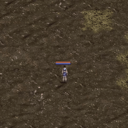 +11.gif